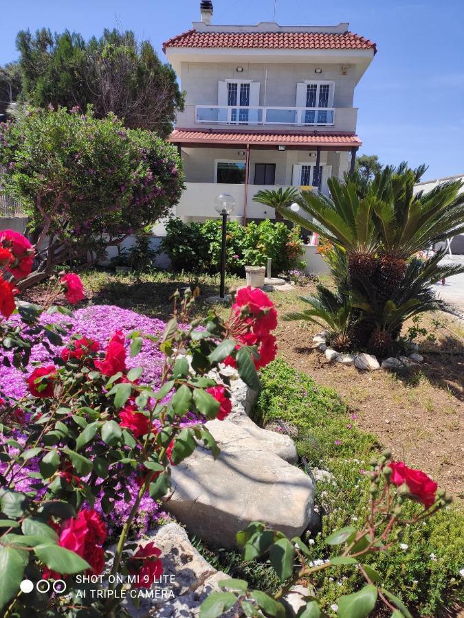 Seagull Apartments - Front And Sea View & Airport Bari Extérieur photo