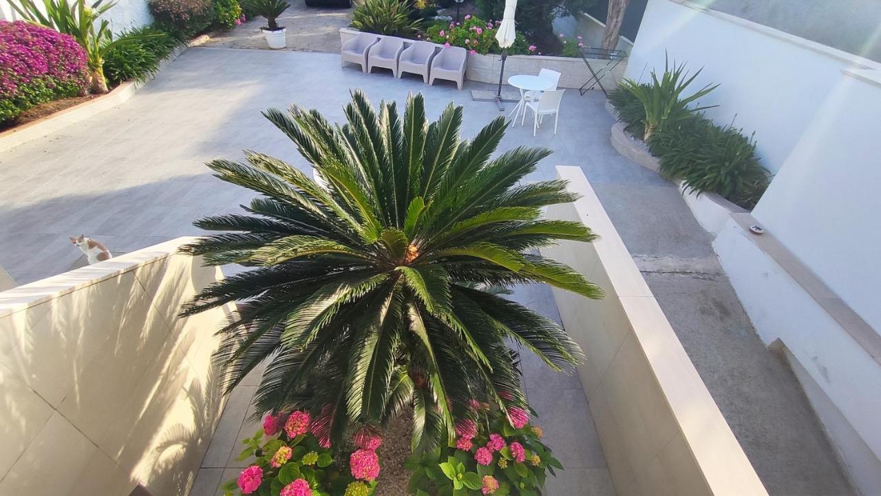 Seagull Apartments - Front And Sea View & Airport Bari Extérieur photo