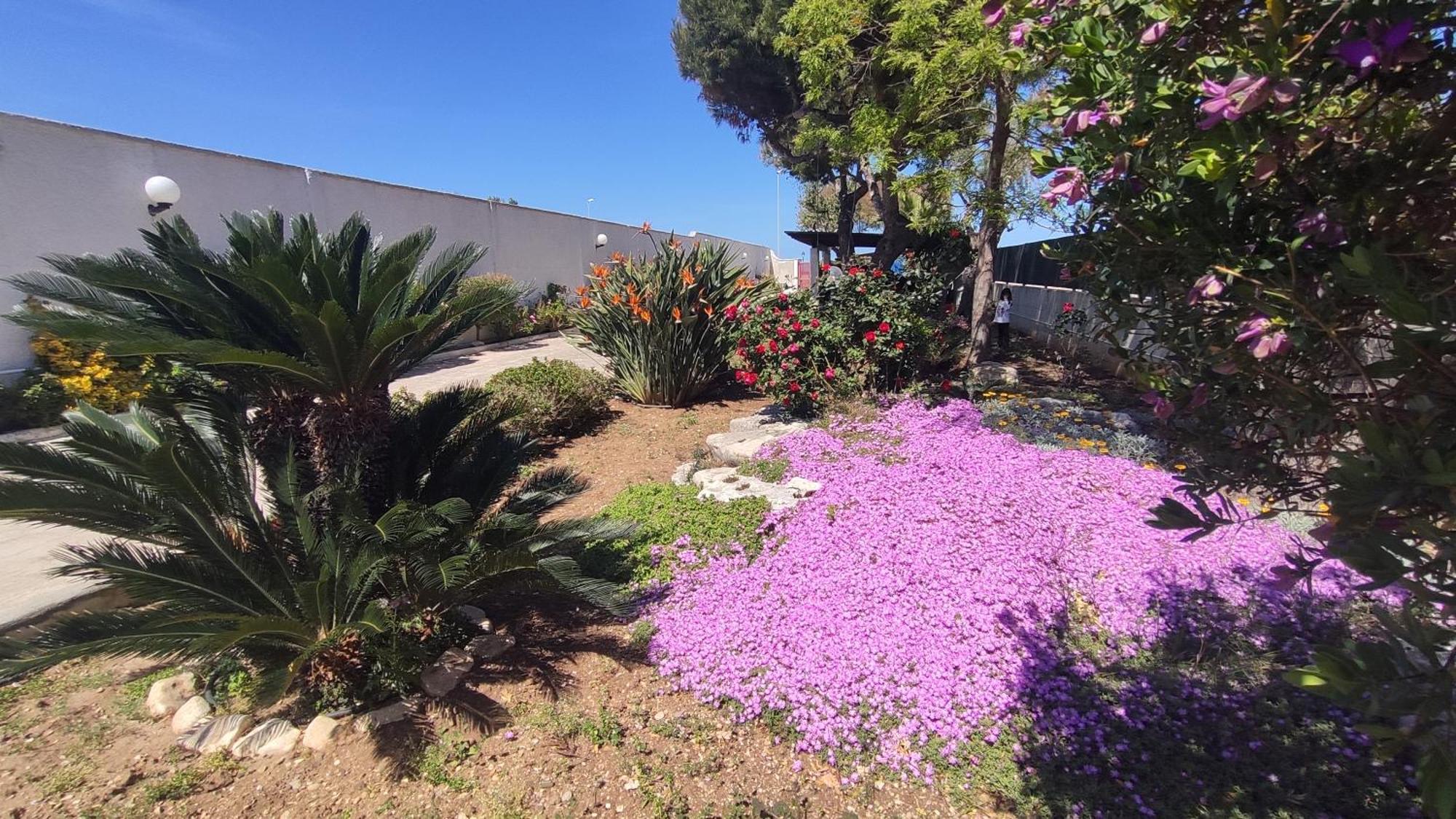 Seagull Apartments - Front And Sea View & Airport Bari Extérieur photo