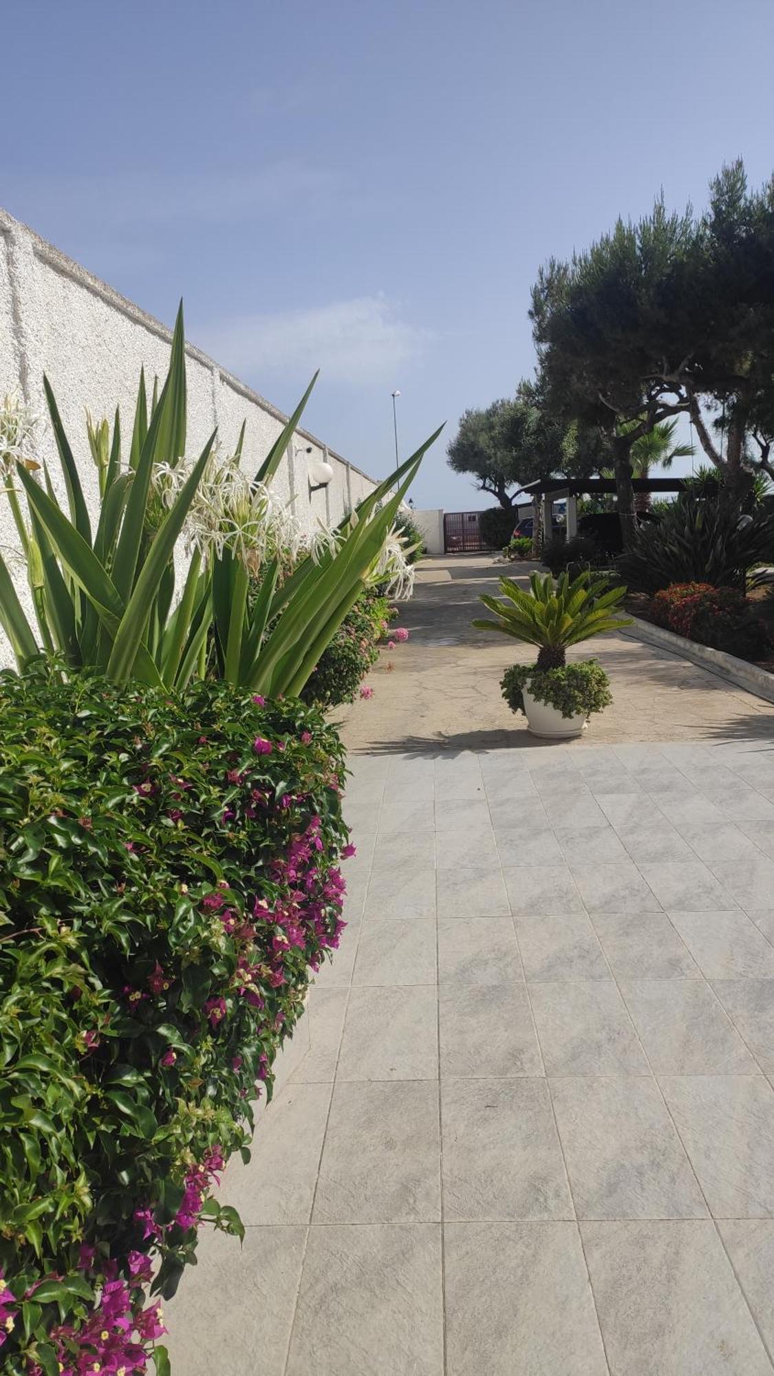 Seagull Apartments - Front And Sea View & Airport Bari Extérieur photo